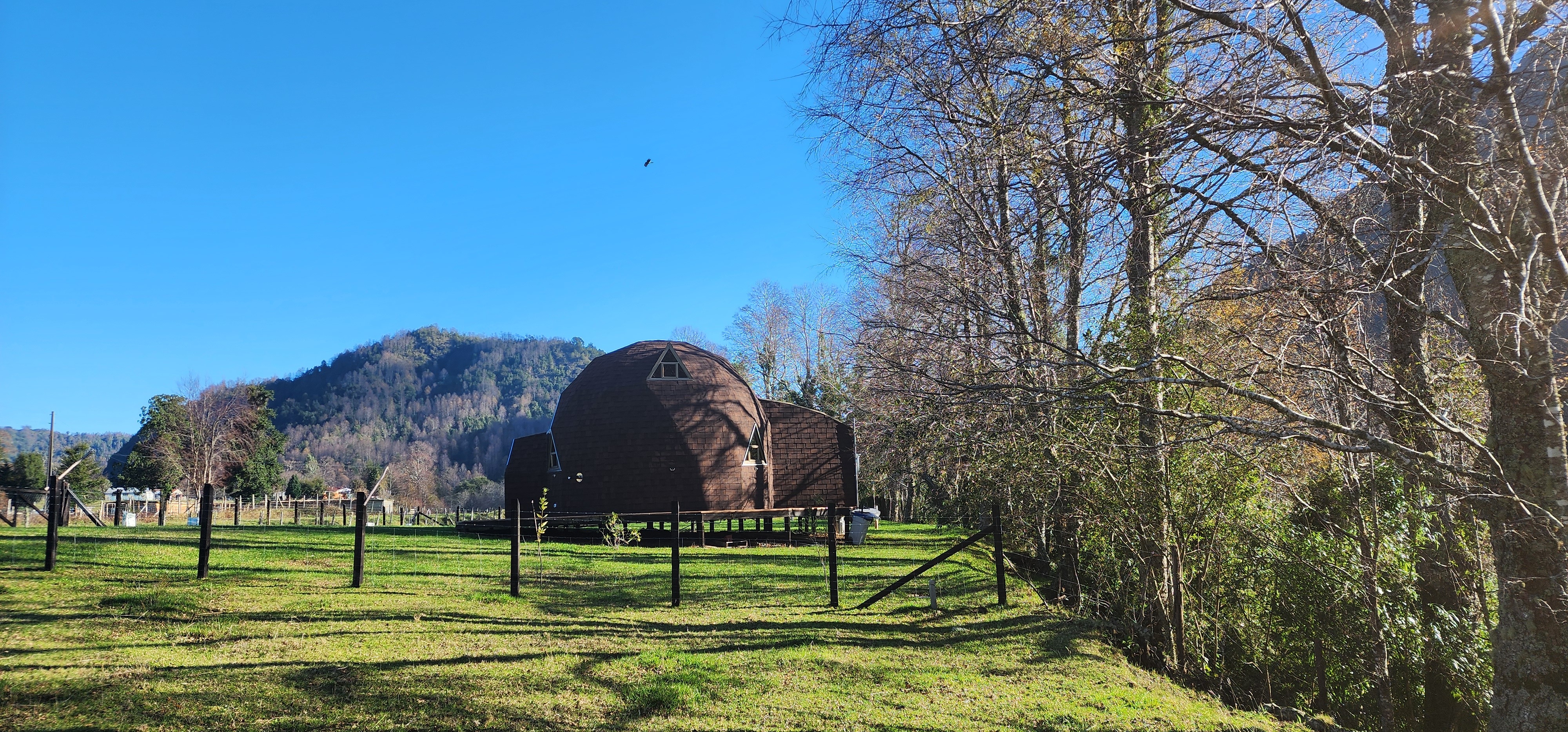 Muestra de Galería 3